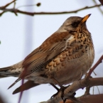  ����� ������� ��������� �������� ������ ������ ������� ������ 