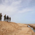  ���������� ������� �������� ��������-��������� ������� 