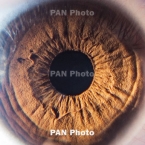 ������� ����