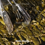  ����������� �������� ������������ ��������� ����� ������ ����� ������������ 