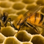  ���� ���� 