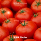  ������ ���������� ������� ������ ��������������� ��������� 