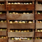 55 грузовиков с армянскими овощами и фруктами отправились на пароме  в Россию