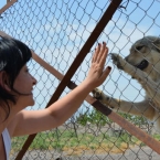  �������� ����� ����� 