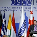 Россия не присоединилась к Тбилисской декларации ПА ОБСЕ
