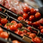  ������ �������� ������� ��������� ������ ��������� ����� 