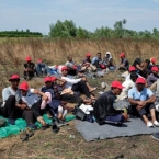 Migrants on Serbia-Hungary border start hunger strike to enter EU