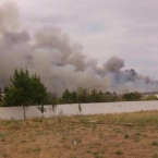  ���������� ������ ������� ������ ������������ ������� �������� 