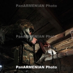  ����������� ������� ����� ����������� ���� ����� ��������������� ������ 