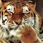  ������� ��������� ������� ���������� ����� ������� 