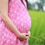  ������ ����� ������������ 