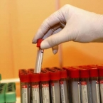  ������ ������������ 10-� ������ ������ ������ ���� 