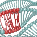  ������ ����� ���� 2030 