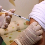  ������ 2017 ������������ ����������� ����� ����� 