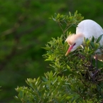  ������� ���������� ������ ���� 