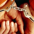  ��������� �������� ����������� ������ ������ ������ 