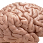  ������ ���������� �������� �������� ����� ������� ��������� ������� 