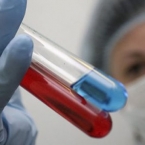 ����: stickers.panarmenian.net