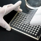  ������ ���������� ������ ����������� ������� 