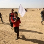  ��� ������� ������ ��������������� �������� ���� 