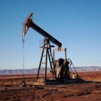  ������ ���� ������������ ���������� ������ ����� 