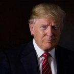  ���������� twitter google ��������c� �������� ������ �������� �������� 