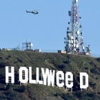  ���-��������� ��������� ����������� ���� hollywood �������� 