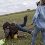  ������������� ������� �������� ������� ��������� ��������� 