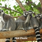  ������ �������� ����� �������� ��������� �������� ����� ���� 