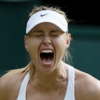  �������� �������� wild-card ������ ������� ��������� ���������� ���� 