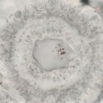  ������ ����� ������� ���������� ��������� ������ ���������� 