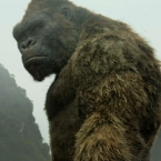 ������ ��������