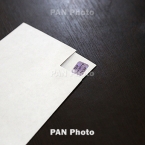  realelections �������� 000 ������� �������� ��� 