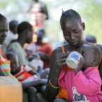  ����-������ ����� ������� 