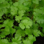  ��������� ����� ������ ���������� ������ 