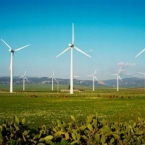  ������ �������� ������ �������� �������������� 