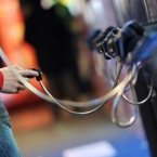  ������������ ����������� ���� ����� ����� �������������� 