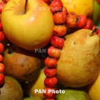  ������ ��������� ���� ���������� ����� ���� ����� ������������ 