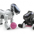  sony ������������ ������������ �����-������� aibo 