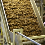  ���� ������ ������������ ���������� ������ 