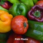 ����: stickers.panarmenian.net