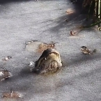  ��� ���������� ������� ��� ���������� ������� 