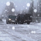  ������� ���������������� ������ ���� ������ ���������� 