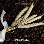  �������� ����� ������ ����������� 2017 