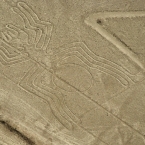  ���� �������� �������� ������� ����� ����� 