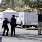  ���-��������� ������� ���������� ����������� ��������� �������� 