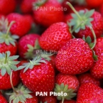  ������� ��������� 250 �������� ������� 