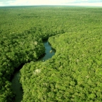  ������������ 2080 �������� ����� �������� �������� ���� �������� 