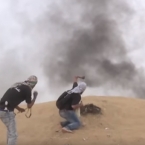  430 ���������� ������������� ������� ������� �������� ���� 