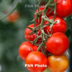  ������ �������� ������� �������� ������� ������� 